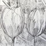 Tulipmania 99 - Pen