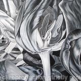 Tulipmania 5 - Black 