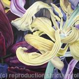 Tulipmania 11 - Colour - SOLD