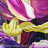 Tulipmania 12 - Colour - SOLD