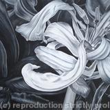 Tulipmania 11 - Black and White