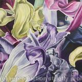 Tulipmania 14 - Colour - SOLD