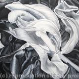 Tulipmania 19 - Black 