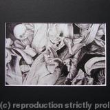 Tulipmania 14 - Print Black Mount