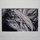 Tulipmania 6 - Print White Mount