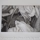 Tulipmania 19 - Etching #1