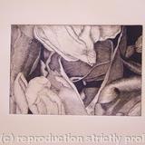 Tulipmania 19 - Etching #2