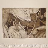 Tulipmania 19 - Etching #3