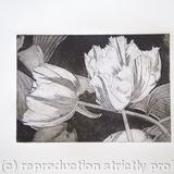 Tulipmania 3 - Etching #1