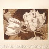 Tulipmania 3 - Etching #3