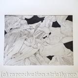 Tulipmania 14 - Etching #1