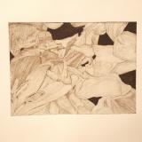 Tulipmania 14 - Etching #3