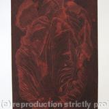 Tulipmania 20 - Etching - Terrecota