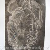 Tulipmania 20 - Etching - Peach