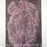 Tulipmania 20 - Etching - Pink