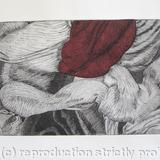 Tulipmania 12 - Etching - Burgandy