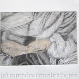 Tulipmania 12 - Etching - Peach