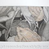 Tulipmania 19 - Etching - Peach