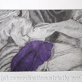 Tulipmania 12 - Etching - Purple