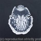 Abstract Orchid 1 B/W - SOLD