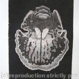 Abstract Orchid 1 - Etching - Peach