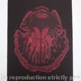 Abstract Orchid 1 - Etching - Terracotta