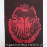 Abstract Orchid 1 - Etching - Red