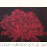 Cool Cystal Aquatint Etching Burgandy