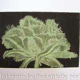 Cool Cystal Aquatint Etching Green