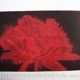 Cool Cystal Aquatint Etching Red