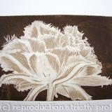 Cool Cystal Aquatint Etching Sepia