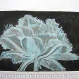 Cool Cystal Aquatint Etching Turq