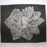 Caspin Dark Aquatint Etching B/W