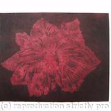 Caspin Dark Tulip Aquatint Etching Burg