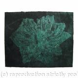 Caspin Dark Tulip Aquatint Etching Dk Green