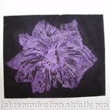 Caspin Dark Aquatint Etching Lilac