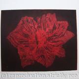 Caspin Dark Tulip Aquatint Etching Red