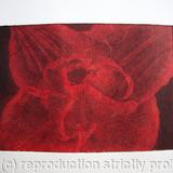 Compostella Tulip Aquatint Etching Red