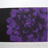 Dahlia1 purple