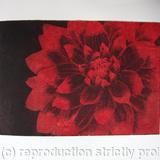 Dahlia1 red