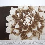 Dahlia1 sepia