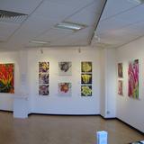 Rugby Art Gallery and Museum, March 2012