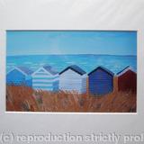 Beach Huts