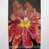 Terracotta Tulip - Print