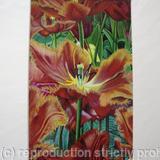 Black Jewel Tulip - Print