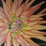 Dahlia Wootton Imapact - Medium Greetings Card