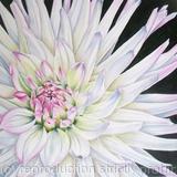 Park princess - Square Greetings Card