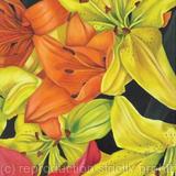 Forever Mixed - Square Greetings Card