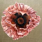 Peach Poppy - Square Greetings Card