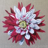 Dahlia Rebecca's World - Square Greetings Card